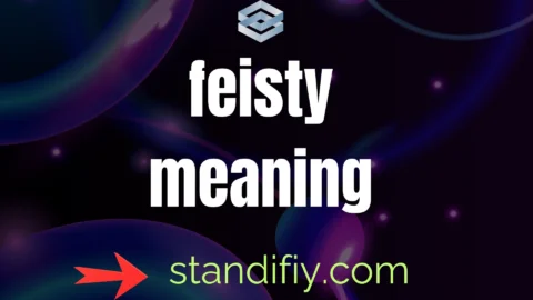 feisty meaning