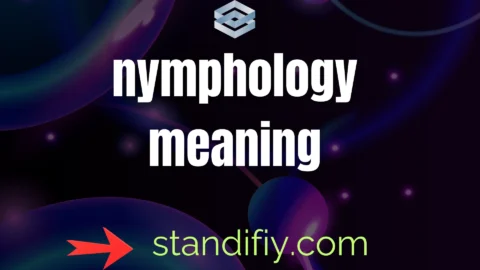 nymphology meaning