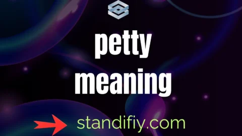 petty meaning