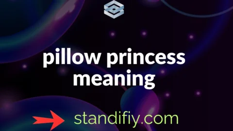 pillow princess meaning