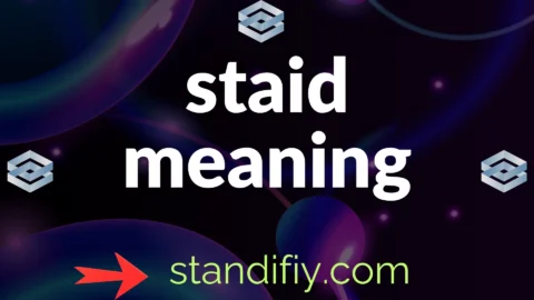 staid meaning