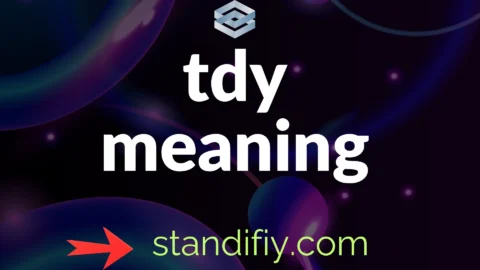TDY meaning