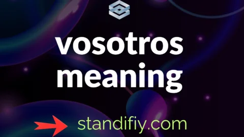 vosotros meaning