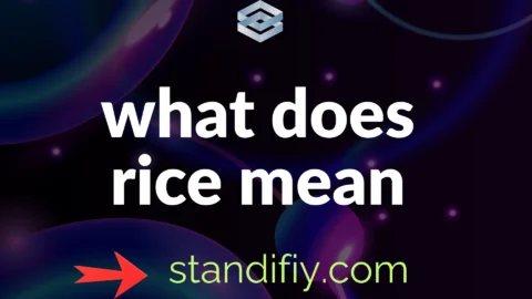 what does rice mean