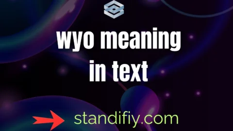 wyo meaning in text