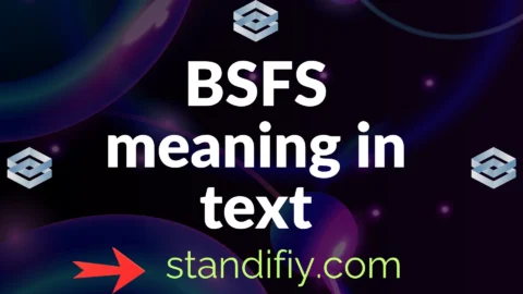 bsfs meaning in text