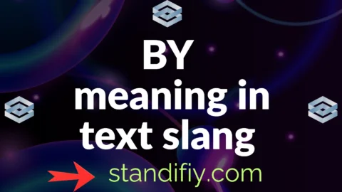 by meaning in text slang
