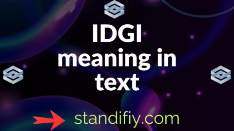 idgi meaning in text