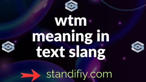 wtm meaning in text slang