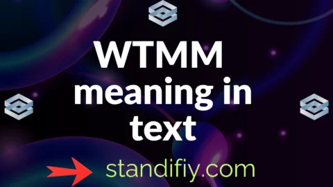 wtmm meaning in text