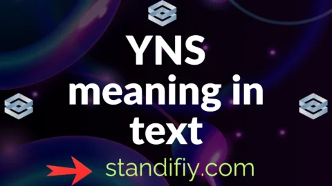 yns meaning in text
