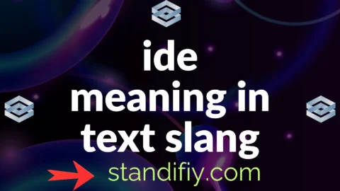 ide meaning in text slang