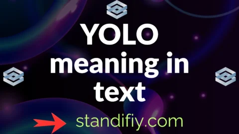yolo meaning in text