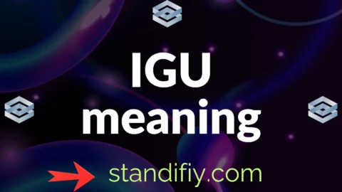 igu meaning
