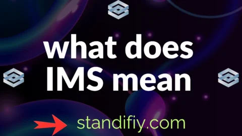 what does ims mean