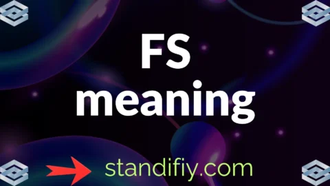 fs meaning