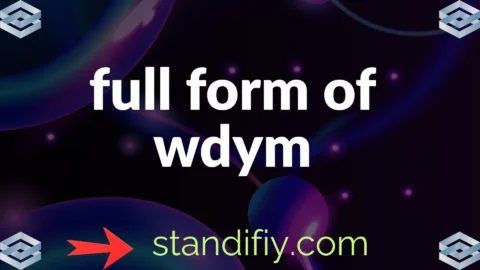 full form of wdym