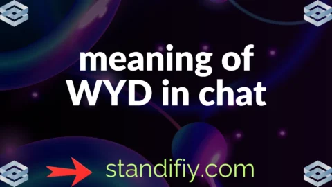 meaning of wyd in chat
