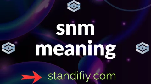snm meaning