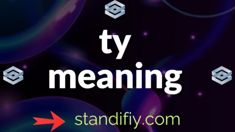 ty meaning