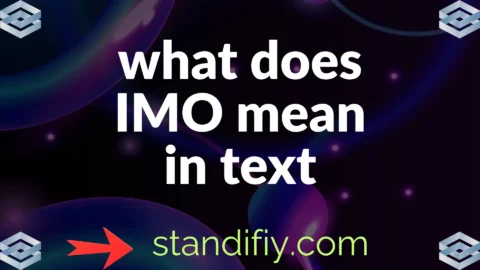 what does imo mean in text
