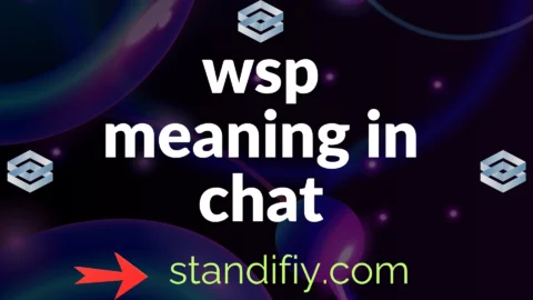 wsp meaning in chat