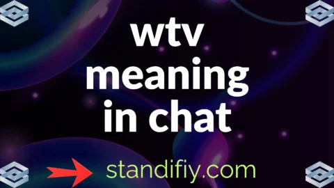 wtv meaning in chat