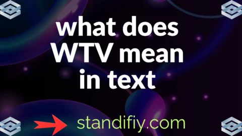 what do wtv mean in text
