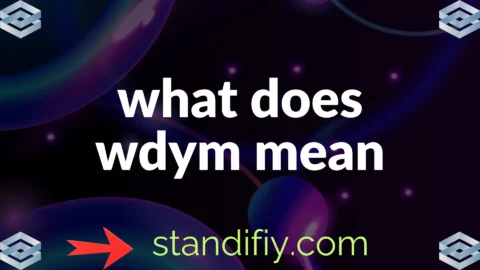 what does wdym mean
