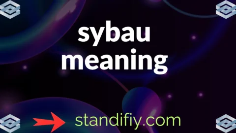 sybau meaning
