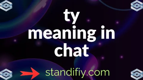 ty meaning in chat
