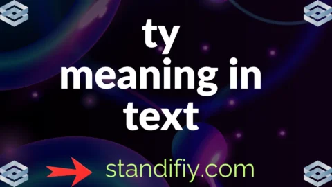 ty meaning in text
