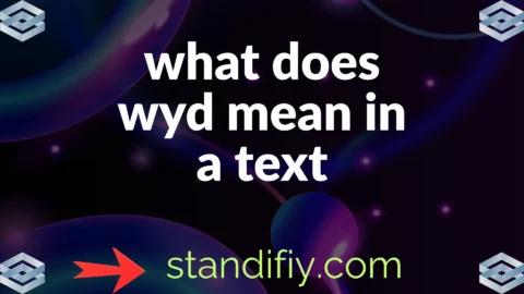 what does wyd mean in a text