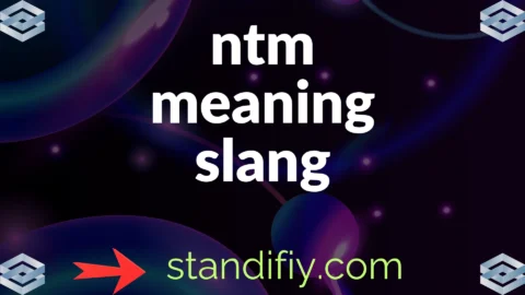 ntm meaning slang