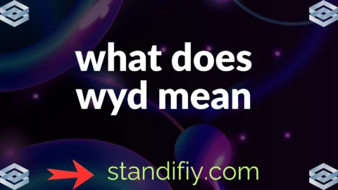 what does wyd mean