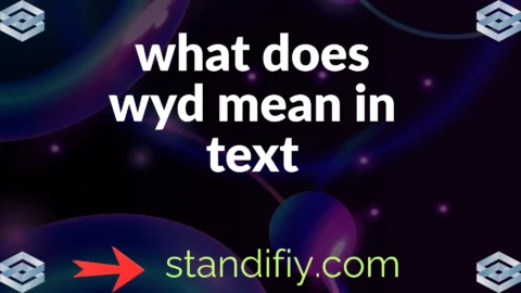 what does wyd mean in text