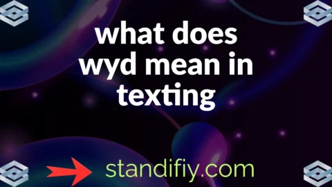 what does wyd mean in texting
