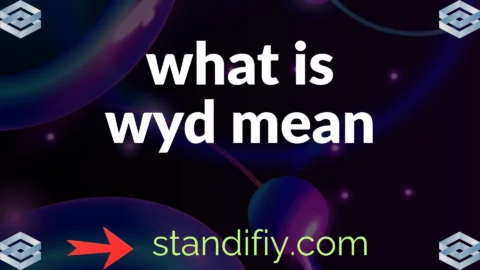 what is wyd mean